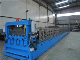 Steel Profile Roll Forming Machine/Line